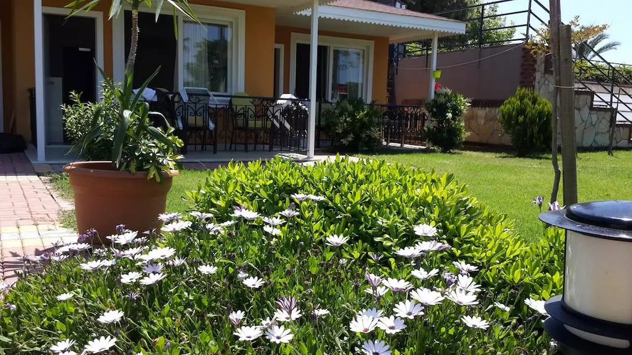 SENZAINOVA_SHABAVIZPARVAZ (2).jpg